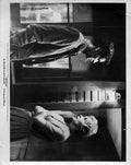 Perkins Anthony Psycho z1 A4 Photo Print