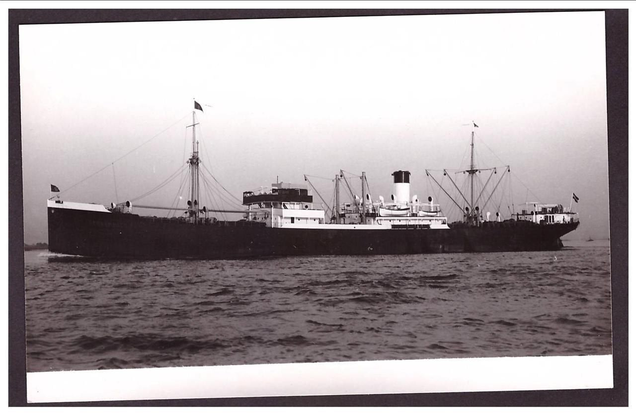 Pernambuco 1925 Hamburg Sud Amerika Linie Steam ship A4 Photo Print