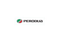Perodua A4 Photo Print