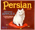 Persian Apples Csmith 1930s Vintage Retro Advert Poster