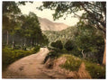 Perthshire Trossachs Loch Katrine Where Twines the Path Vintage A4 Photo Print