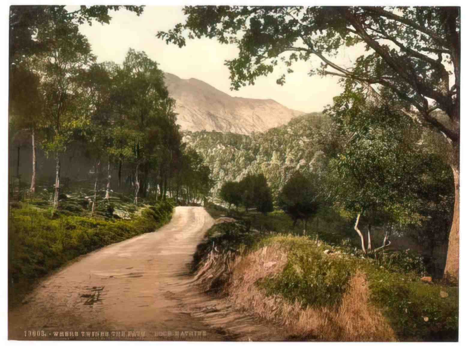 Perthshire Trossachs Loch Katrine Where Twines the Path Vintage A4 Photo Print