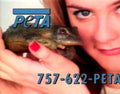 Peta Turtle Rescue 1990s Vintage Retro Advert