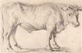 Peter Paul Rubens bull Art A4 Photo Print