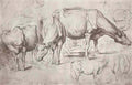 Peter Paul Rubens cows Art A4 Photo Print