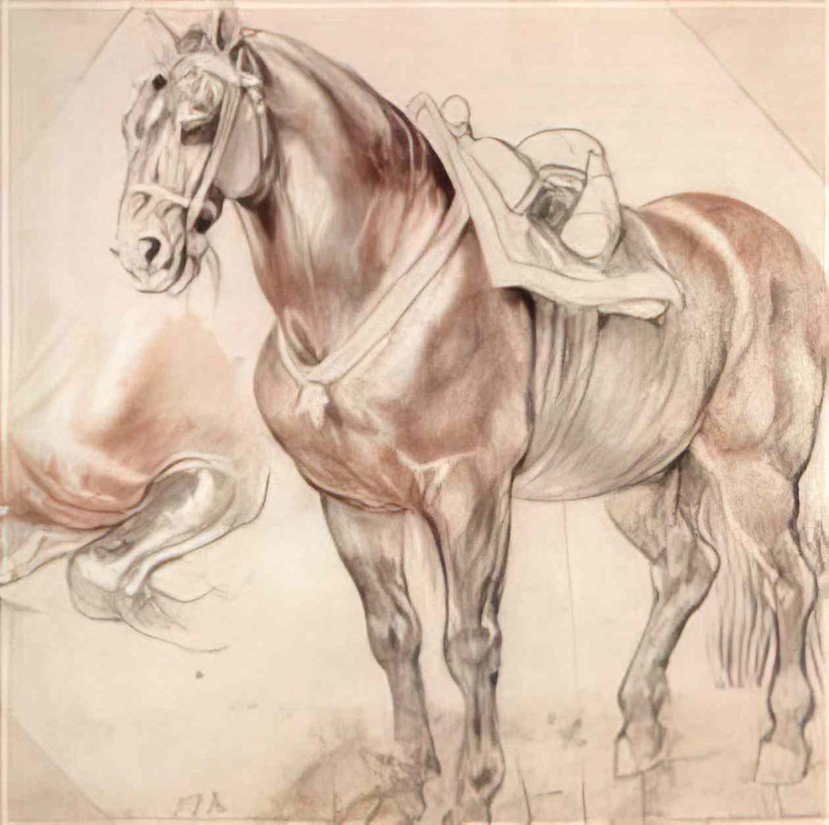 Peter Paul Rubens etude of horse Art A4 Photo Print