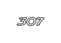 Peugeot 307 A4 Photo Print