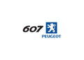 Peugeot 607 1 A4 Photo Print