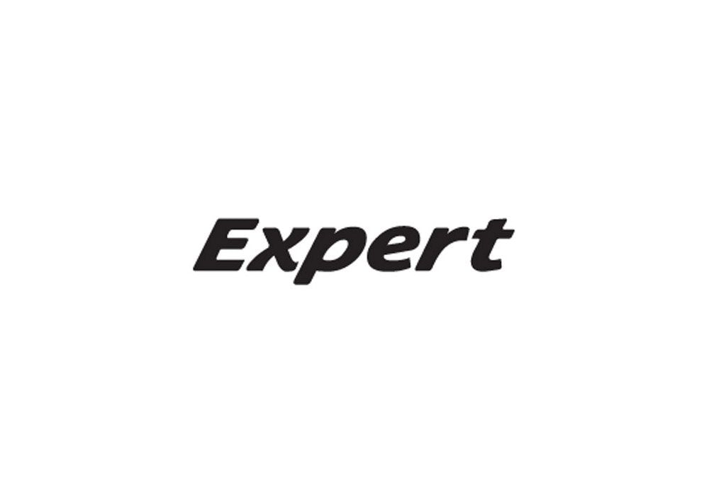 Peugeot Expert A4 Photo Print