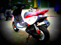Peugeot TKR TKR 2 motorbike A4 Photo Print