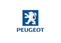 Peugeot6 A4 Photo Print