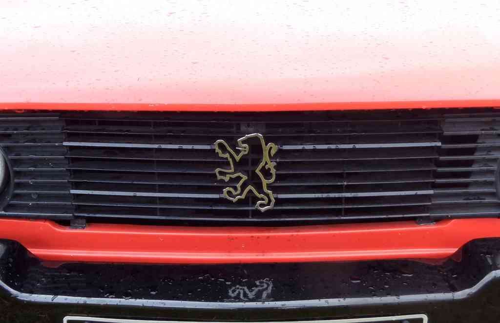 Peugout Bonnet Grille Boot 2446 A4 Photo Print