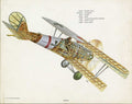 Pfalz D.III cutaway A4 Photo Print