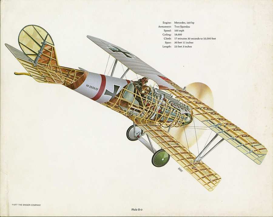 Pfalz D.III cutaway A4 Photo Print