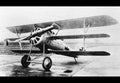 Pfalz Dri Triplane Fighter Aircraft German Empire A4 Photo Print
