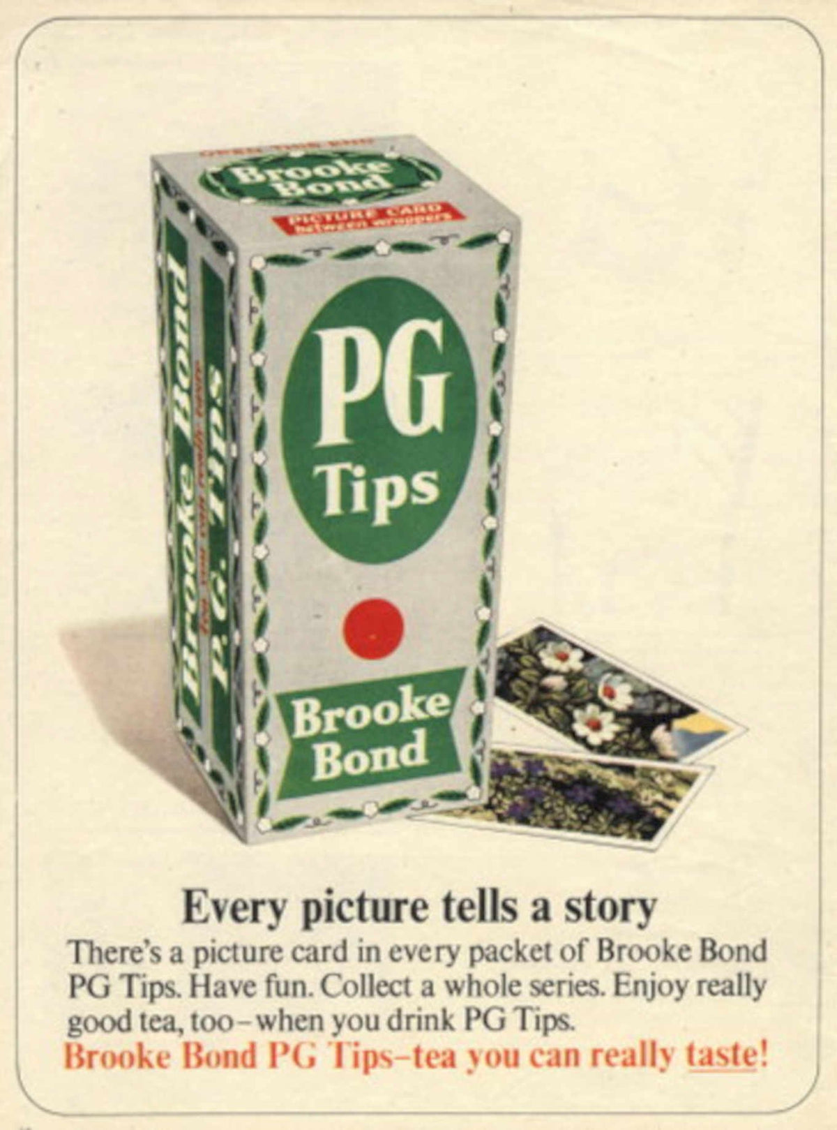 Pg Tips Tea 1970s Vintage Retro Advert
