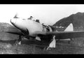 Piaggio P119 Fighter Prototype Italy A4 Photo Print