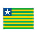 Piaui State Flag N4809 A4 Photo Print