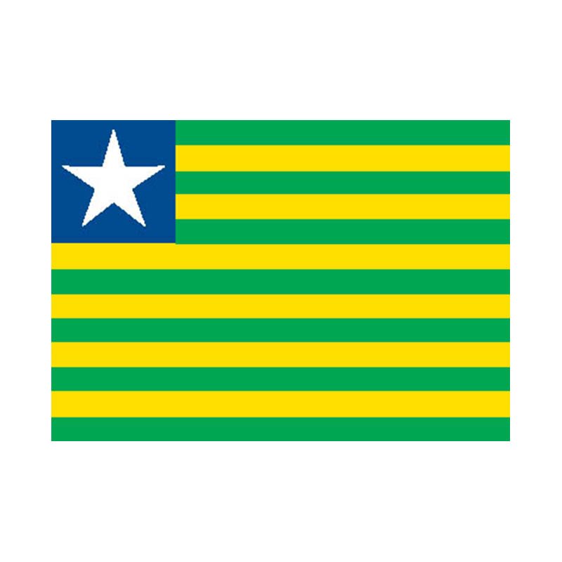 Piaui State Flag N4809 A4 Photo Print