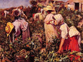 Picking grapes Art A4 Photo Print