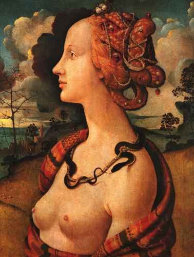 Piero Di Cosimo Portrait Of Simonetta Vespucci C1480 A4 Photo Print