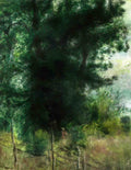 Pierre Auguste Renoir a fence in the forest 1878 Art A4 Photo Print