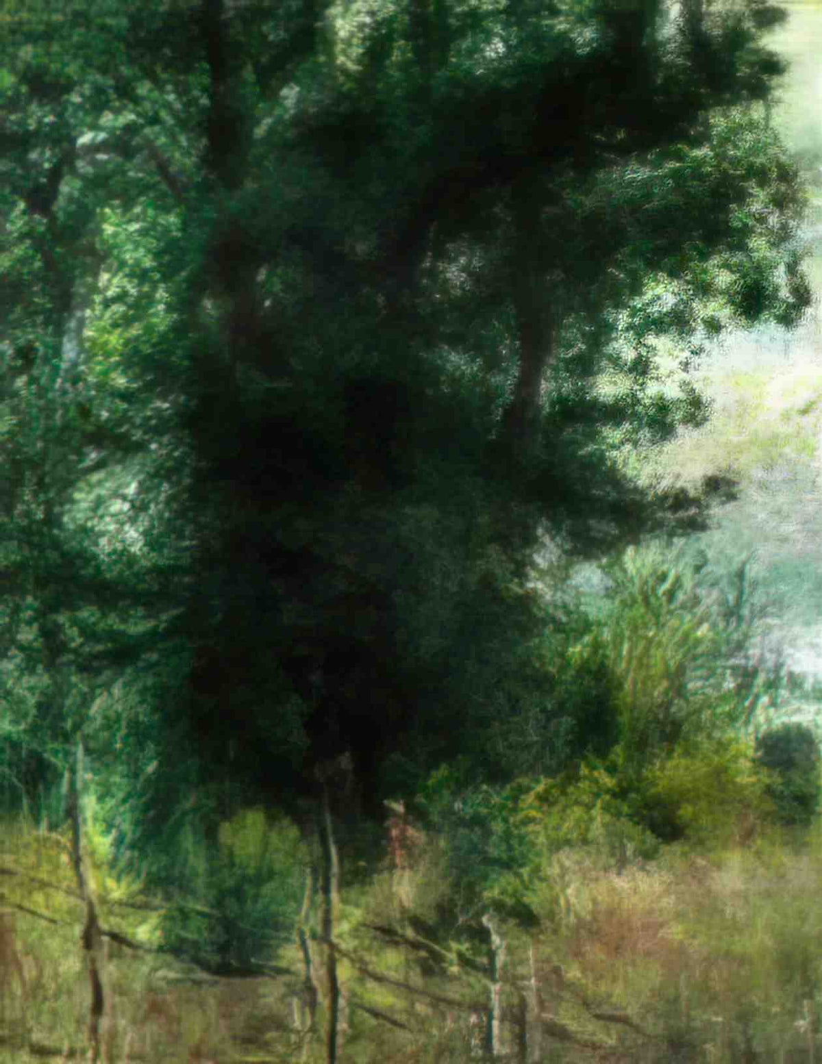 Pierre Auguste Renoir a fence in the forest 1878 Art A4 Photo Print