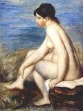 Pierre Auguste Renoir bather 1893 Art A4 Photo Print