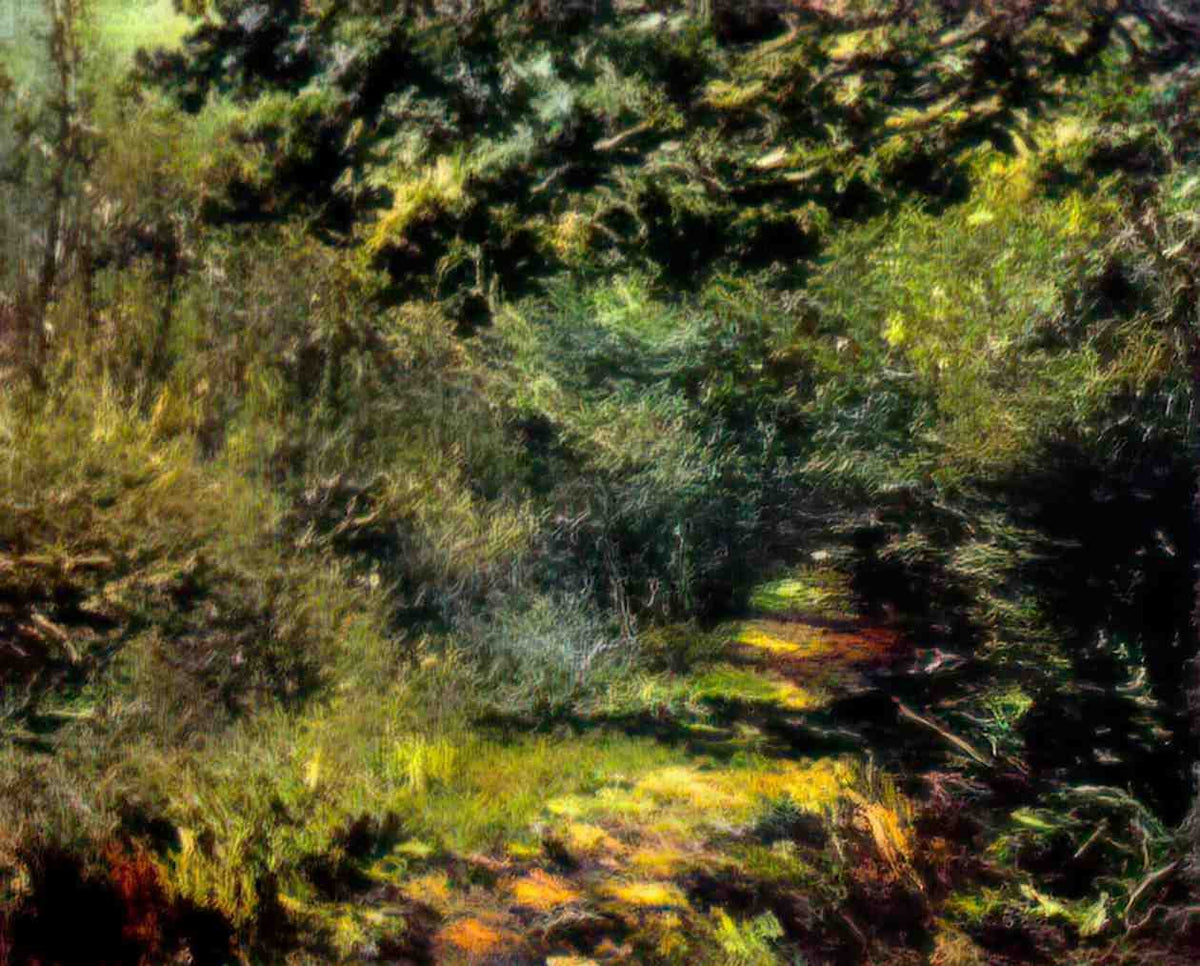 Pierre Auguste Renoir forest path 1875 Art A4 Photo Print
