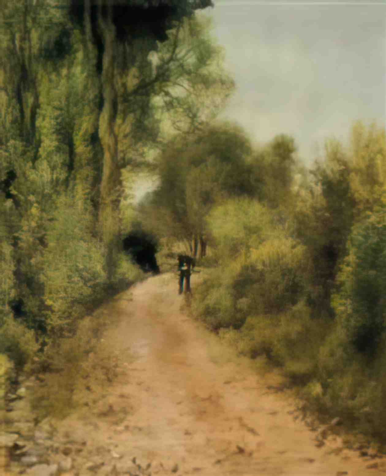 Pierre Auguste Renoir on the path 1872 Art A4 Photo Print