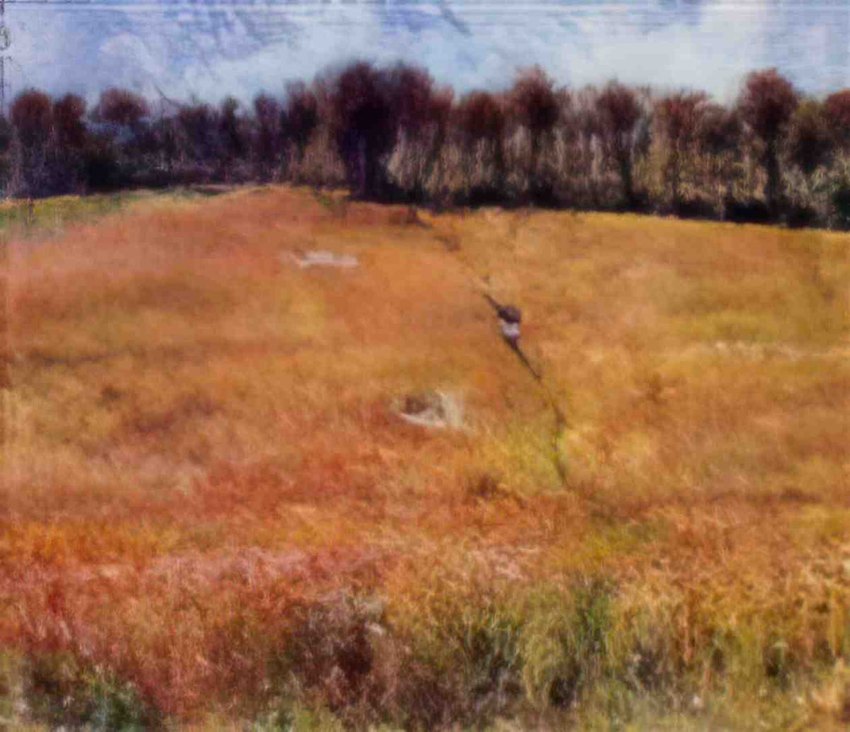 Pierre Auguste Renoir path through the high grass Art A4 Photo Print