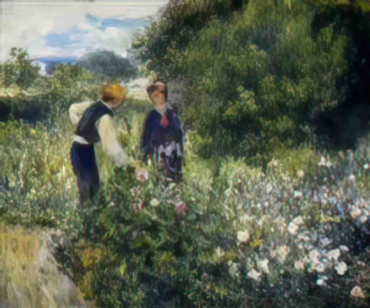 Pierre Auguste Renoir picking flowers 1875 Art A4 Photo Print