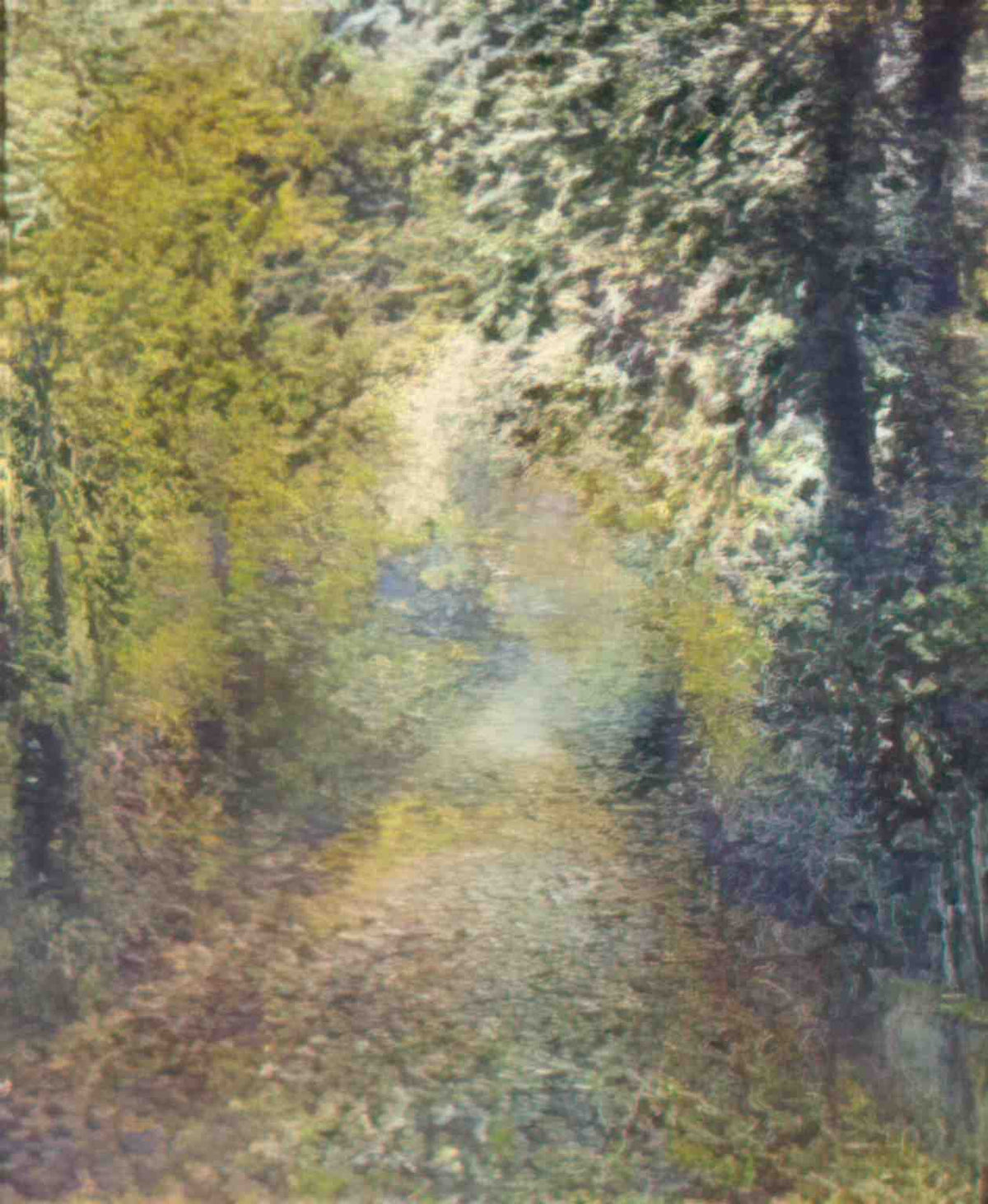 Pierre Auguste Renoir pierre auguste renoir in the woods google art p Art A4 Photo Print