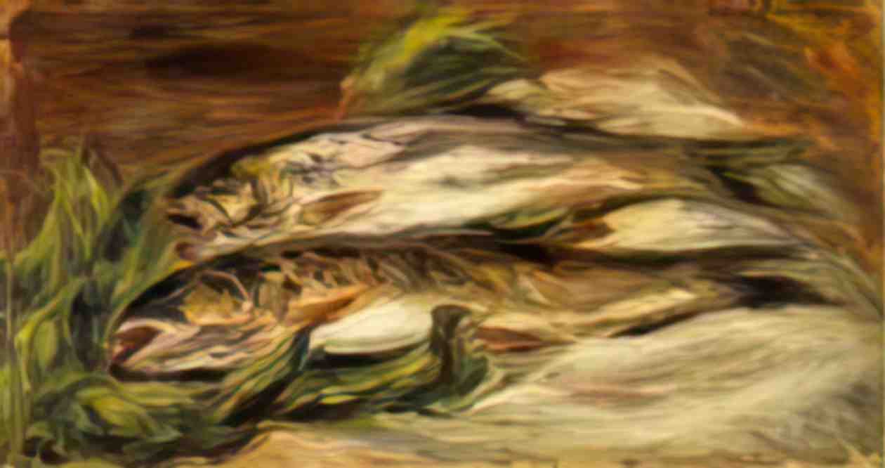 Pierre Auguste Renoir rainbow trout Art A4 Photo Print