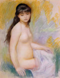 Pierre Auguste Renoir seated bather Art A4 Photo Print