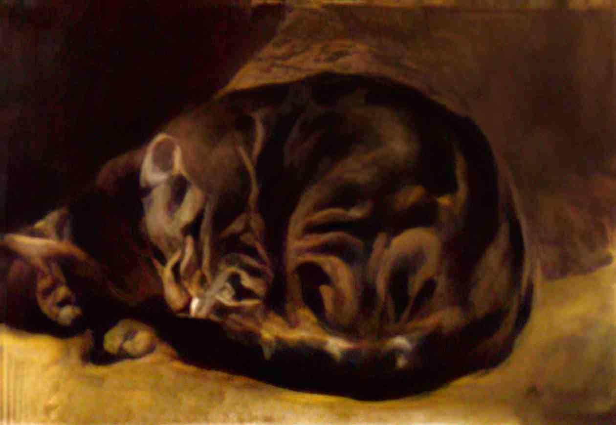 Pierre Auguste Renoir sleeping cat 1862 Art A4 Photo Print