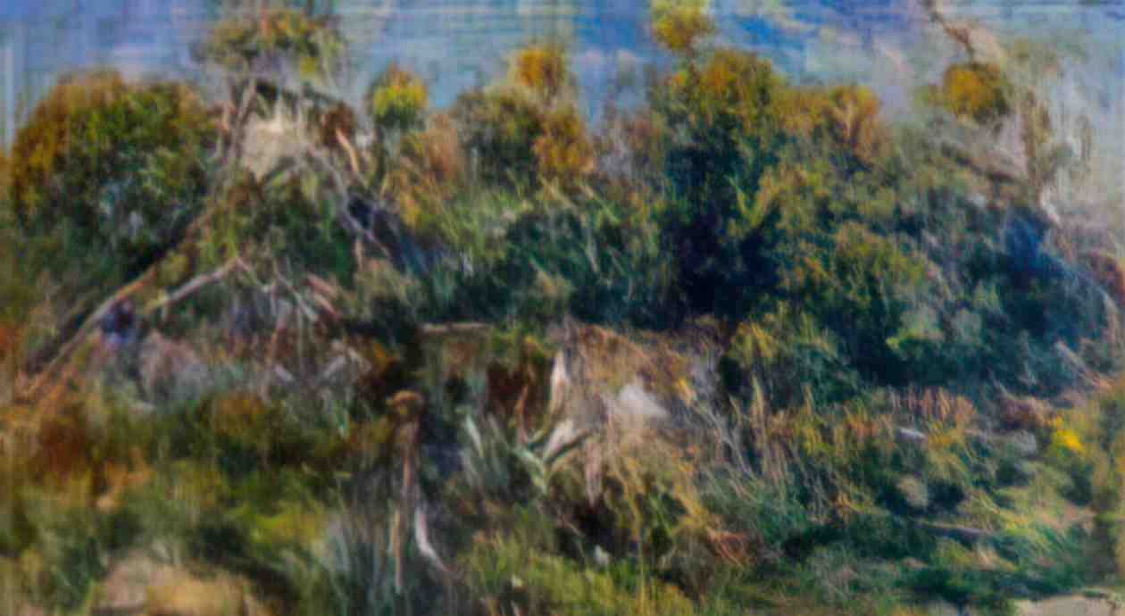 Pierre Auguste Renoir the painter taking a stroll at cagnes Art A4 Photo Print