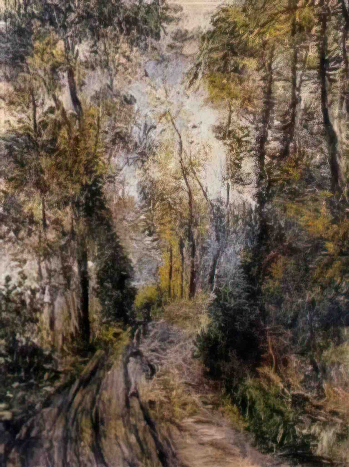 Pierre Auguste Renoir the path through the forest 1871 Art A4 Photo Print