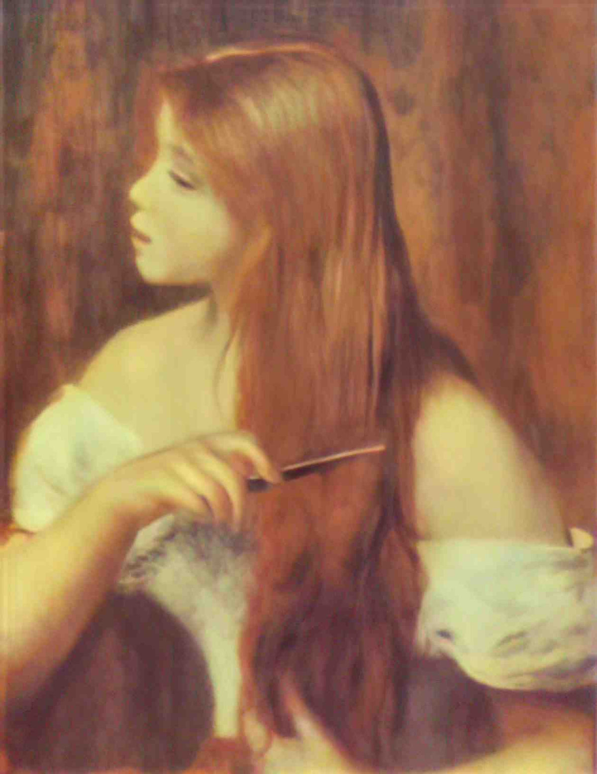 Pierre Auguste Renoir young girl combing her hair 1894 Art A4 Photo Print