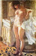 Pierre Bonnard in the bathroom 1907 Art A4 Photo Print