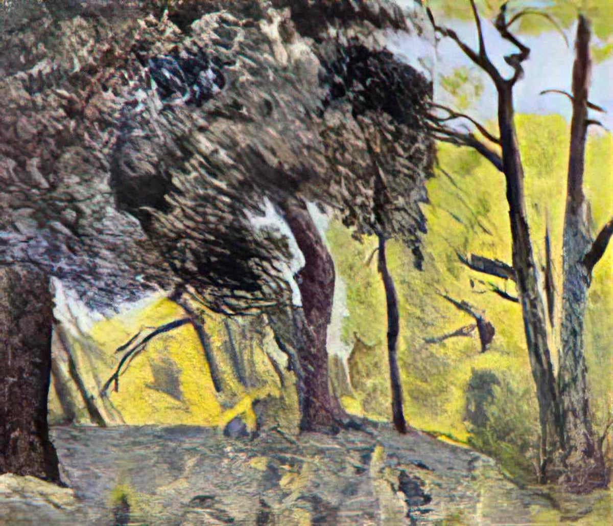 Pierre Bonnard in the woods study Art A4 Photo Print