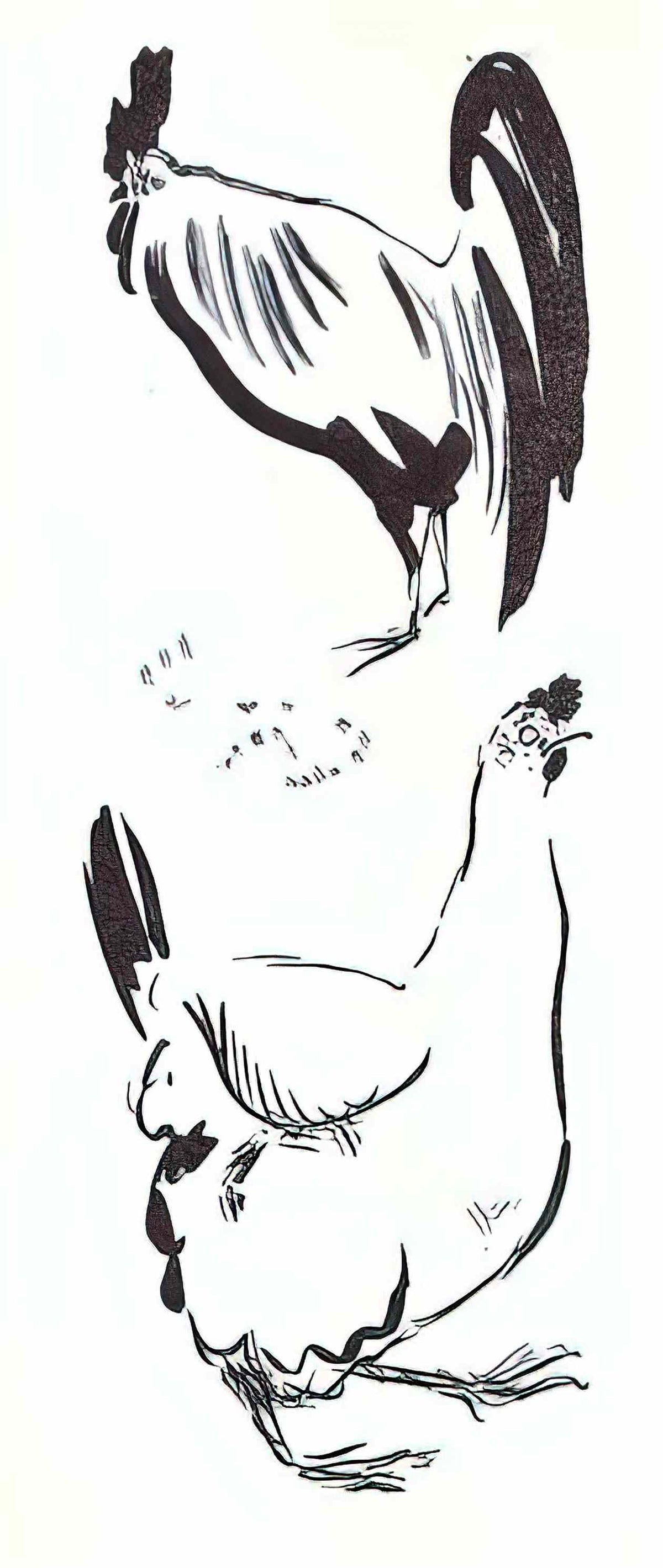 Pierre Bonnard the cock and the hen Art A4 Photo Print