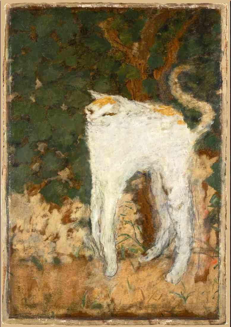 Pierre Bonnard the white cat 1894 A4 Photo Print