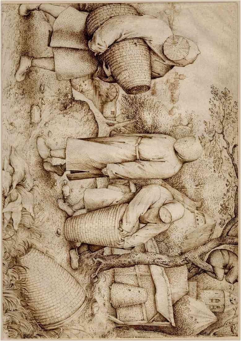 Pieter Bruegel the Elder the beekeepers and the birdnester USE A4 Photo Print