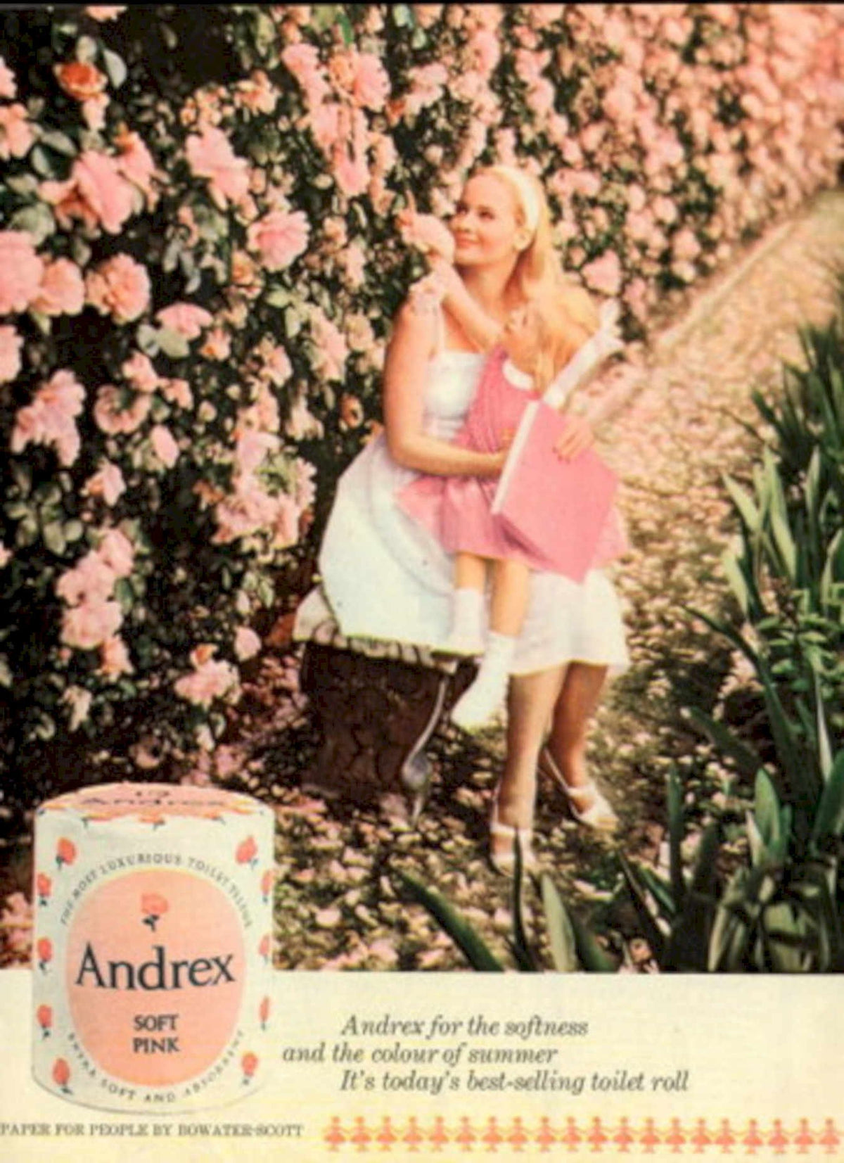 Pink Andrex Roses 1960s Vintage Retro Advert