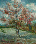 Pink Peach Trees Souvenir De Mauve Van Gogh A4 Photo Print