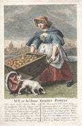 Pippins 1739 Vintage A4 Photo Print