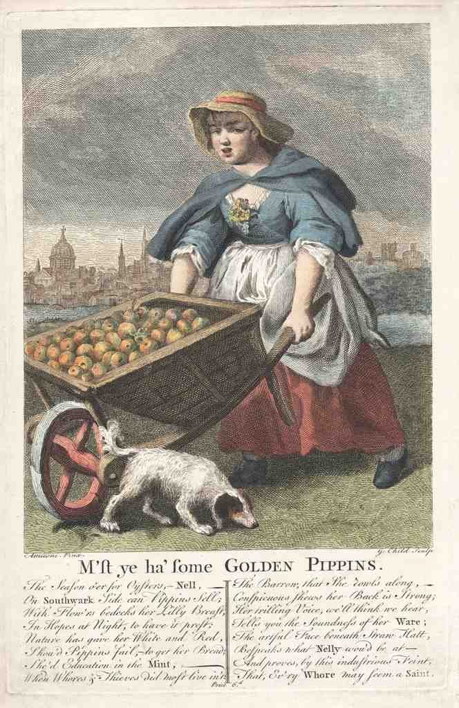 Pippins 1739 Vintage A4 Photo Print