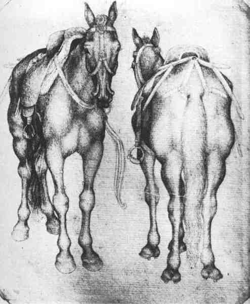 Pisanello Horses A4 Photo Print