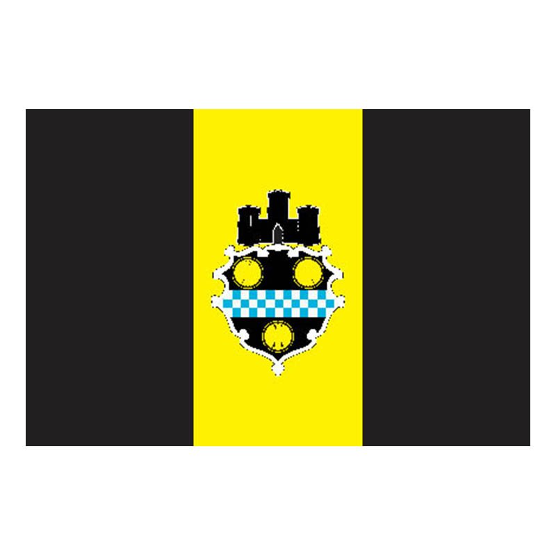 Pittsburgh City Flag N4489 A4 Photo Print